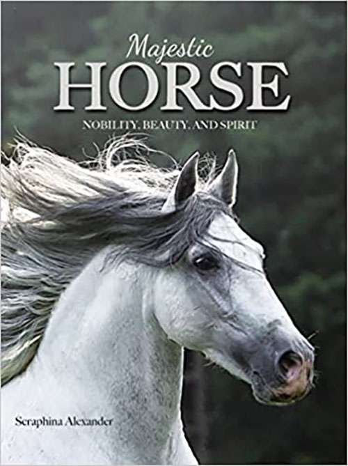 Majestic Horse : Nobility, Beauty, And Spirit