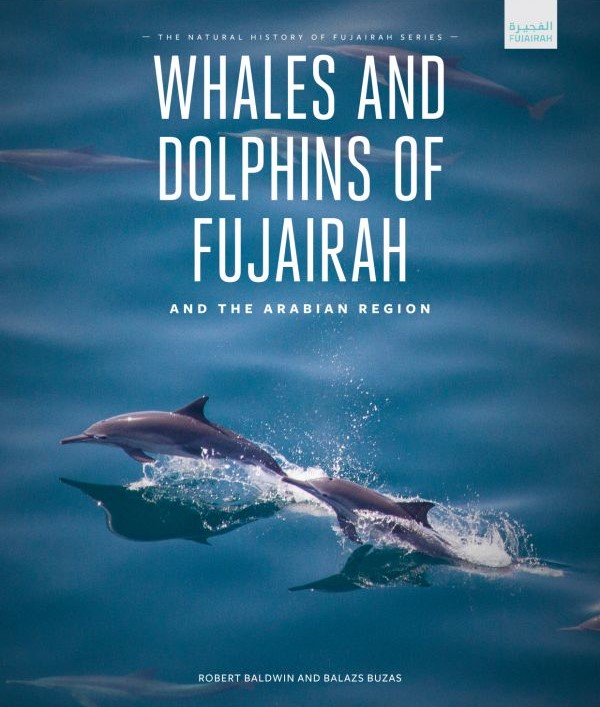 Whales And Dolphins Of Fujarah