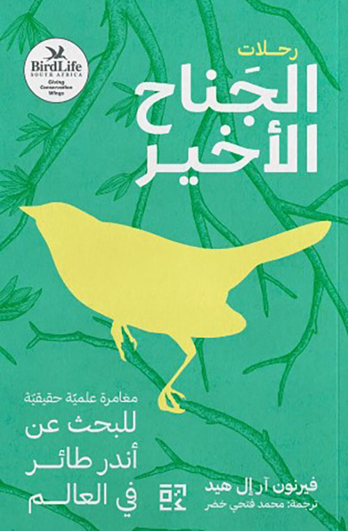 الجناح الأخير