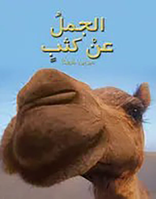 الجمل عن كثب