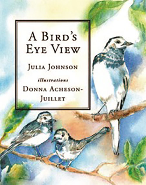 A Bird’s Eye View