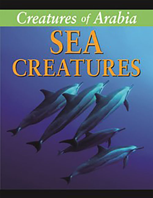 Creatures Of Arabia Sea Creatures