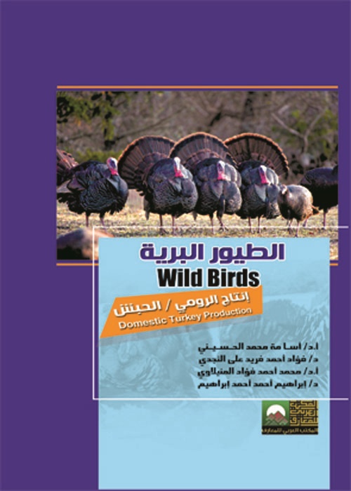 الطيور البرية - إنتاج الرومي / الحبش