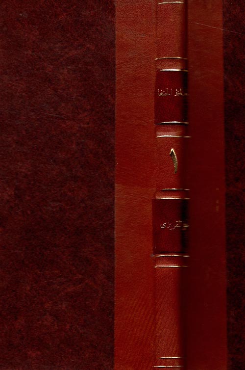 اتعاظ الحنفا بأخبار الأئمة الفاطميين الخلفا