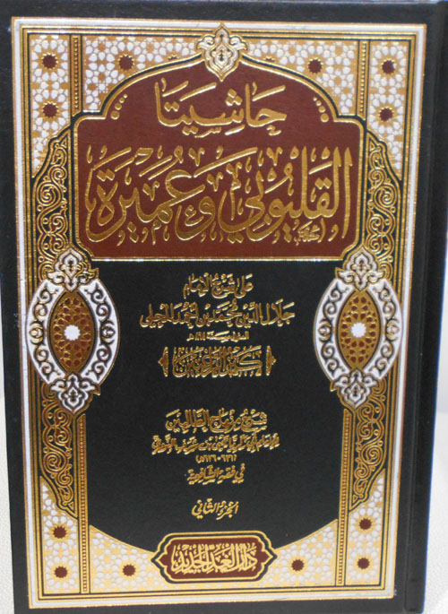 حاشيتا القليوبي وعميرة