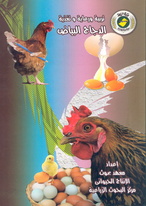 تربية ورعاية وتغذية الدجاج البياض