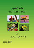 عالم الطيور The world of Bird