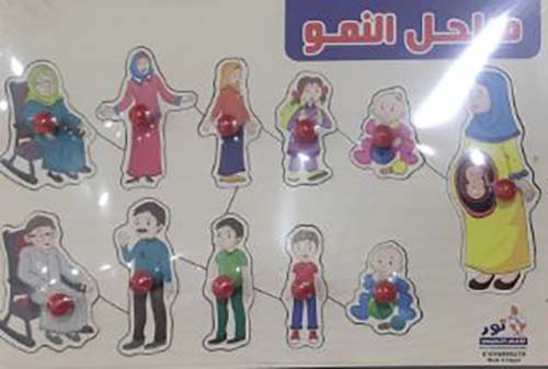 مراحل النمو؛ الإنسان