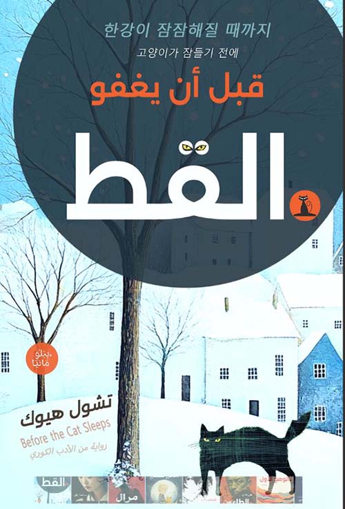 قبل أن يغفو القط