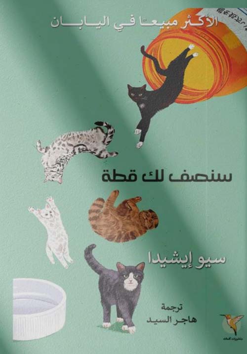 سنصف لك قطة