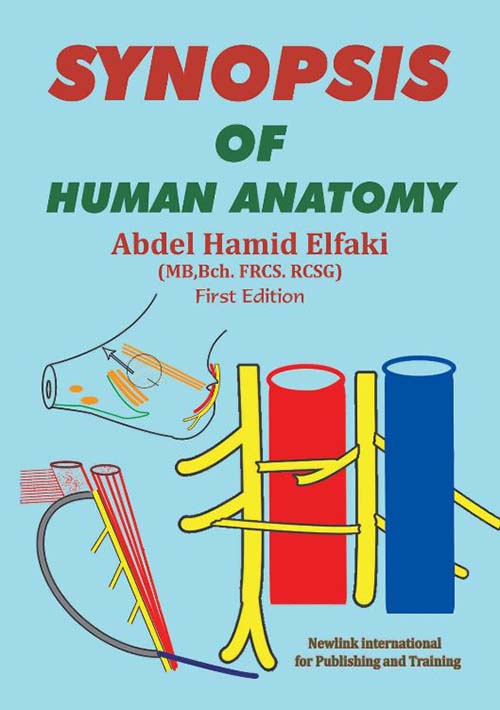 SYNOPSIS OF HUMAN ANATOMY
