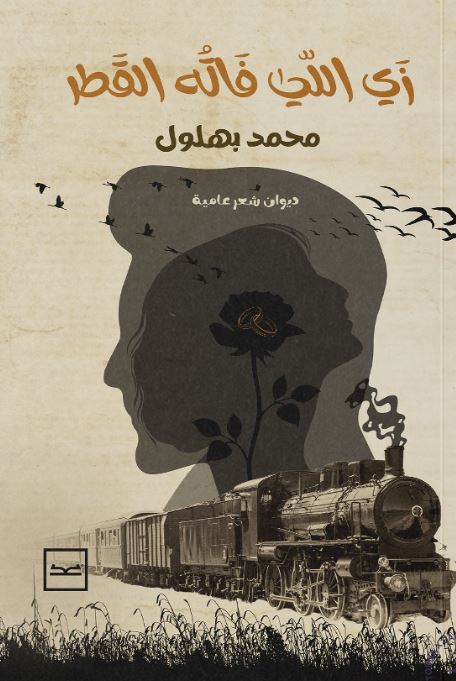 زي اللي فاته القطر