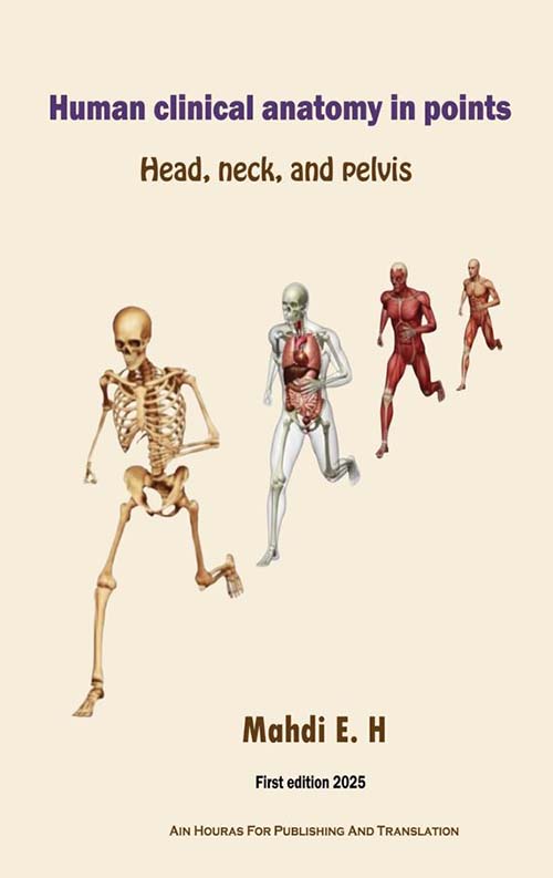Human clinical anatomy in point; Head, neck, and pelvis