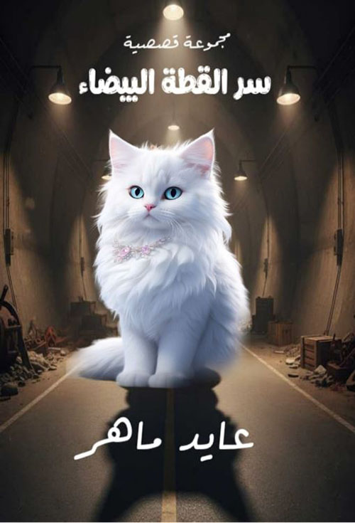 سر القطة البيضاء