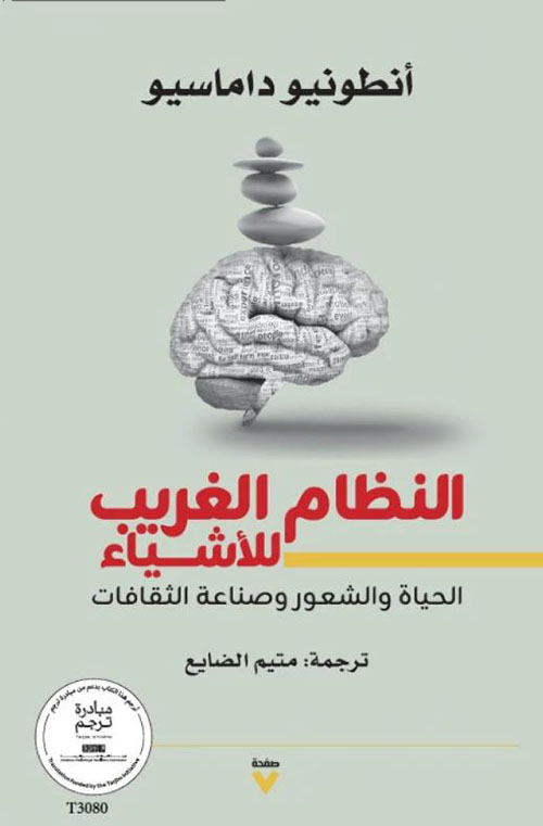  النظام الغريب للأشياء ؛ الحياة والشعور وصناعة الثقافات