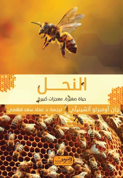 النحل ؛ حياة صغيرة .. معجزات كبيرة