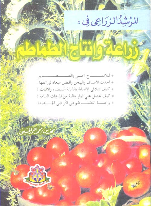 زراعة وإنتاج الطماطم