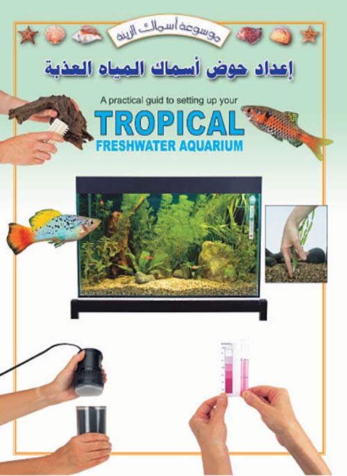 إعداد حوض أسماك المياه العذبة