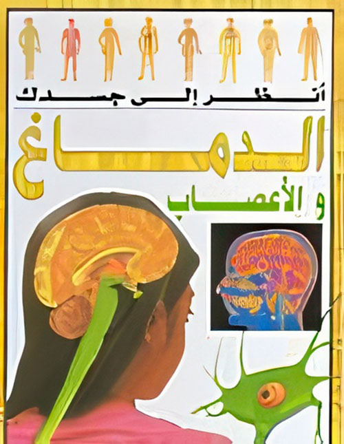 الدماغ والأعصاب