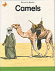 Camels , Stage 1