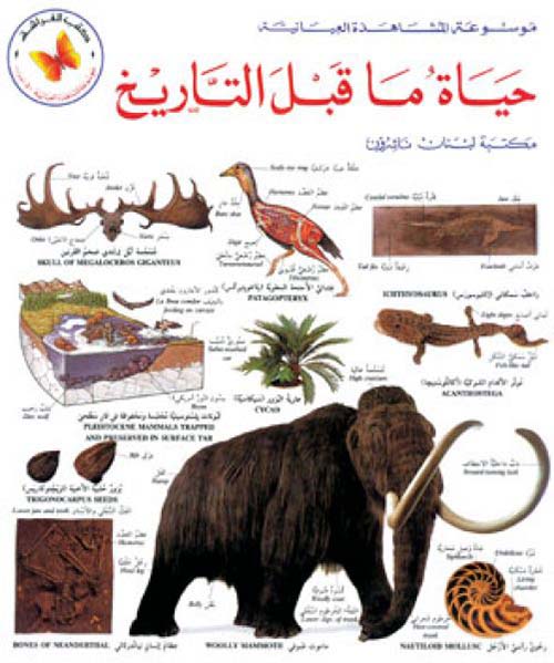 حياة ما قبل التاريخ