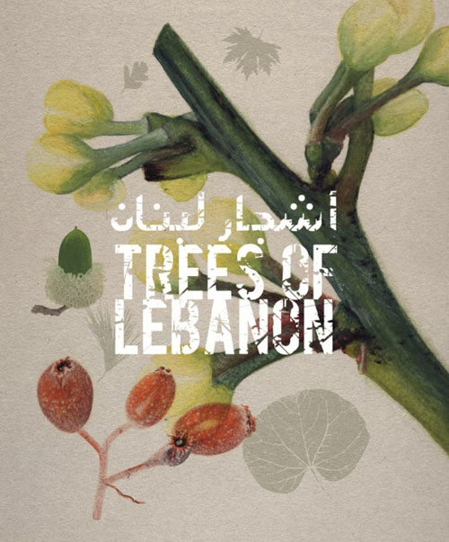 Trees of Lebanon - أشجار لبنان