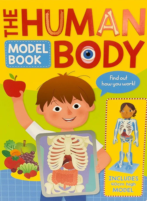 The Human Body - Model Book