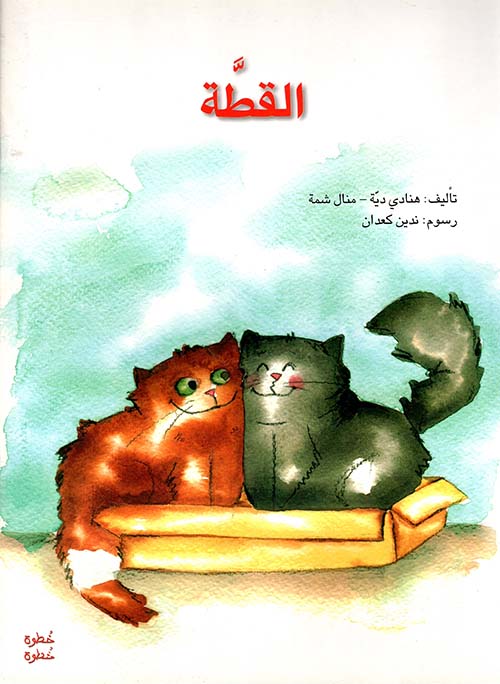 القطة