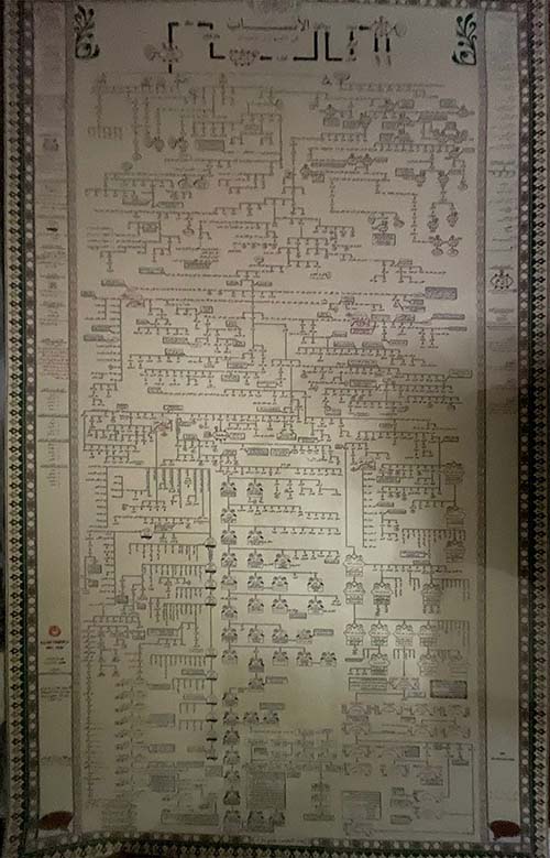 خارطة الأنساب