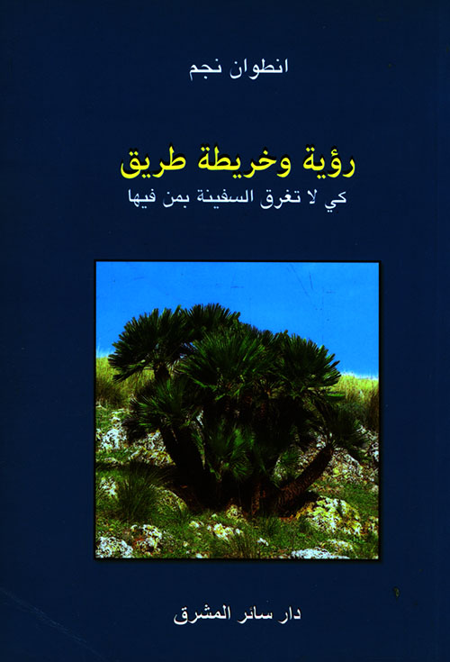 رؤية وخريطة طريق ؛ كي لا تغرق السفينة بمن فيها