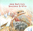 How Ostrich Became Brave