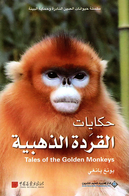 حكايات القردة الذهبية