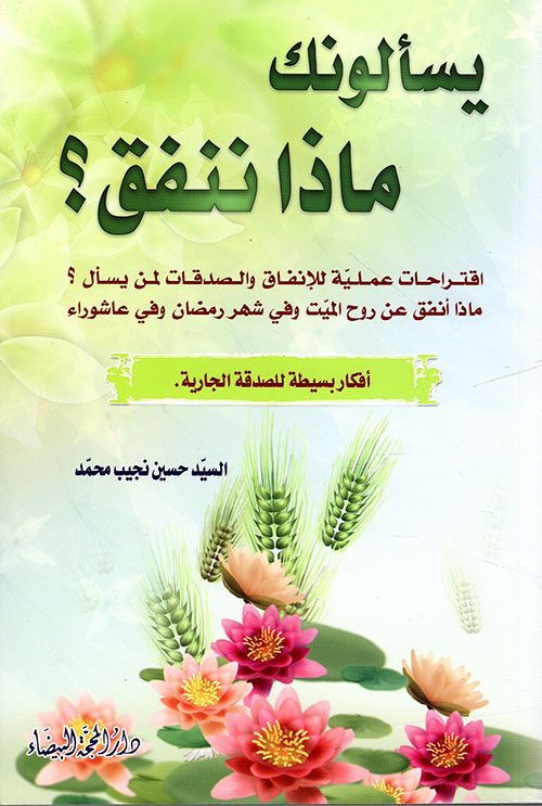 يسألونك ماذا ننفق ؟