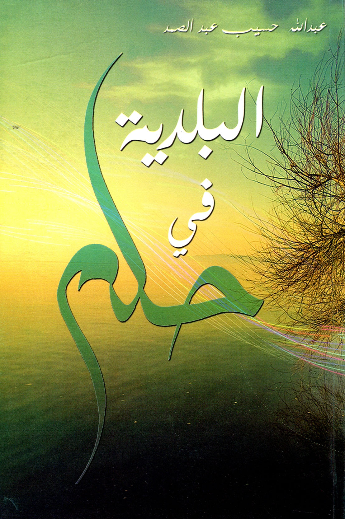 البلدية في حلم