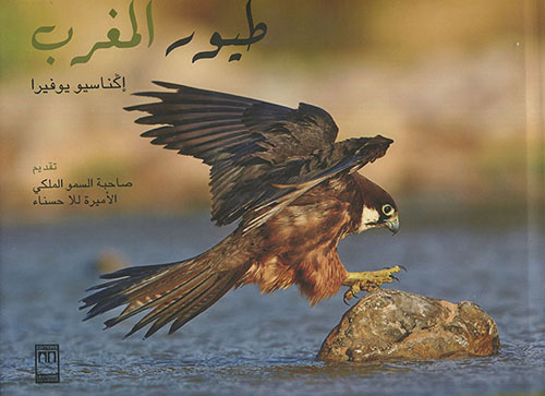 طيور المغرب