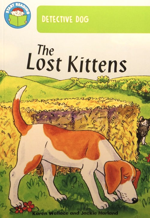 The Lost Kittens : القطط الضائعة