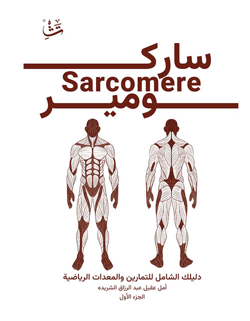 ساركومير : Sarcomere - دليلك الشامل للتمارين والمعدات الرياضية (الجزء الأول)