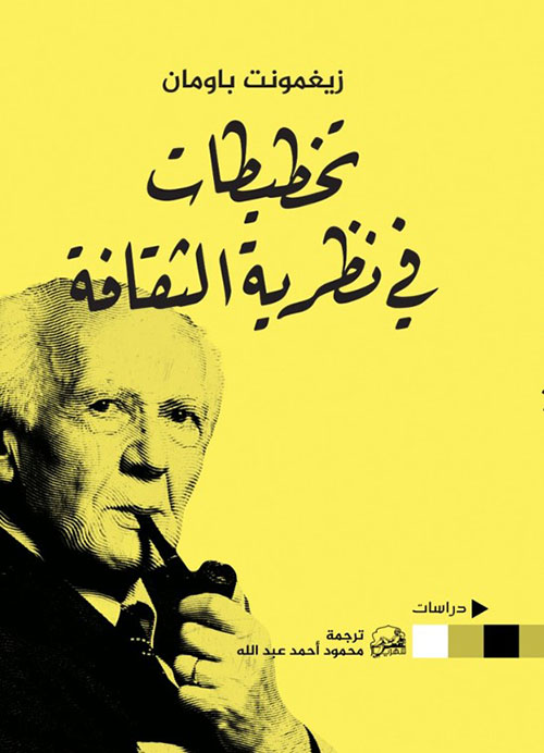 تخطيطات في نظرية الثقافة