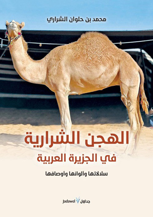 الهجن الشرارية في الجزيرة العربية ؛ سلالاتها وألوانها وأوصافها