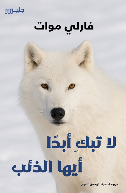 لا تبكِ أبدًأ أيها الذئب