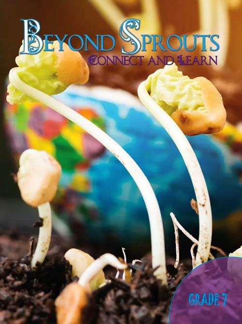 Beyond Sprouts Connect And Learn Grade 7
