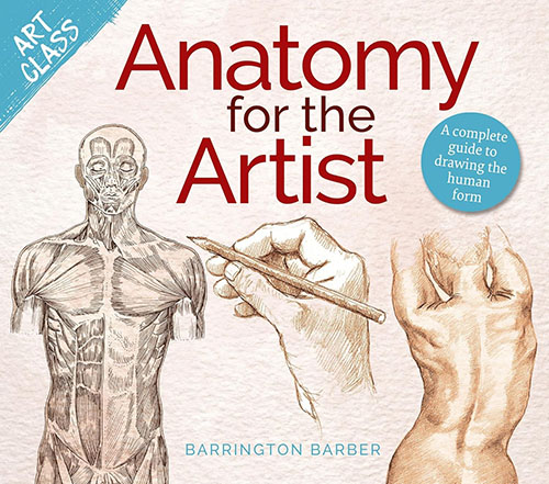 Anatomy for the Artist