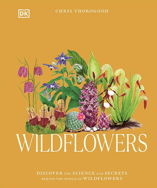 Wildflowers