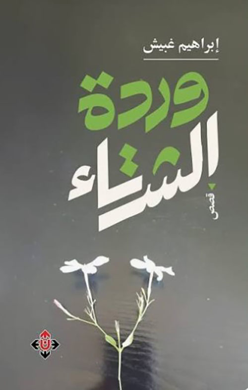 وردة الشتاء