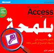 Microsoft Access الإصدار 2002 بلمحة