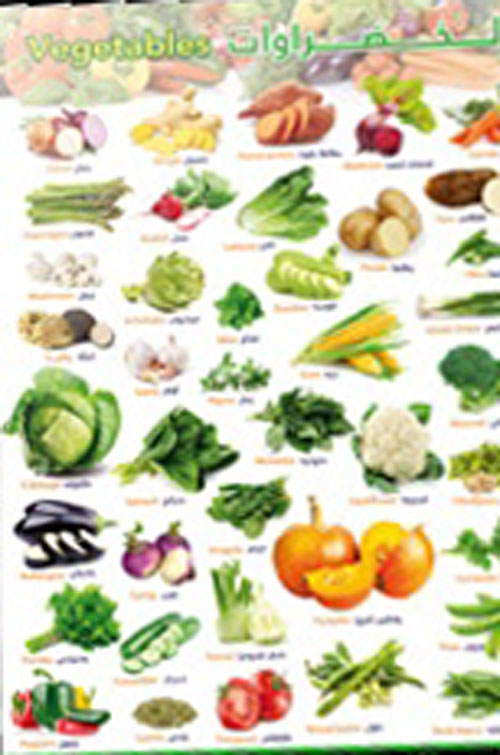 Nwf.com: إن وأخواتها: دار قطاف الداني: