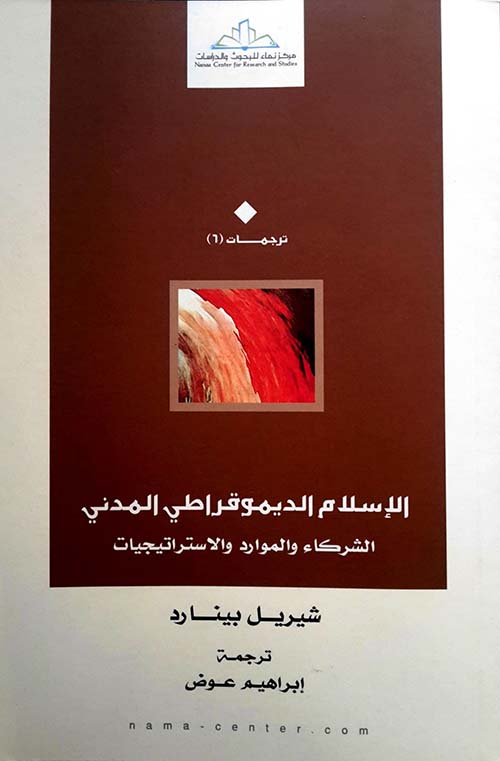 الإسلام الديموقراطي المدني ( الشركاء والموارد والإستراتيجيات )